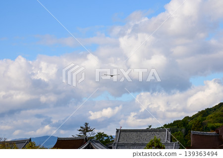 A bird flying in the sky above kiyomizu-dera temple in Kyoto, Japan. Major tourist attraction in Kansai region in Japan. Nature and travel concept. 139363494