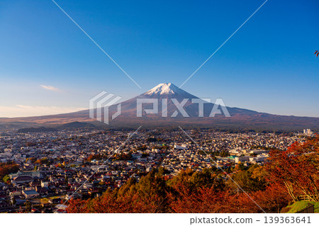(Yamanashi Prefecture) Cherry blossoms and autumn leaves at Arakurayama Sengen Park, and fresh snow on Mt. Fuji 139363641