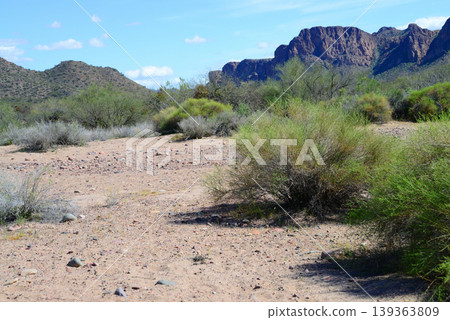 Salt River Recreation Area Arizona 139363809