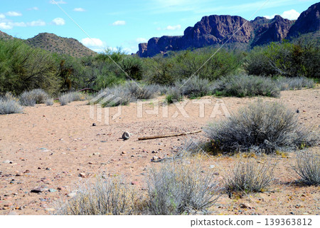 Salt River Recreation Area Arizona Salt River Recreation Area Arizona 139363812
