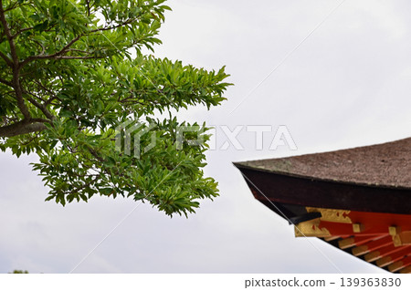 The nature view from Fushimi Inari Taisha(Fushimi Inari Shrine) in Kyoto, Japan. Fushimi Inari Shrine is a popular tourist destination. Stunning nature view of Kyoto. Trees, sky and architecture. The nature view from Fushimi Inari Taisha(Fushimi Inari Shrine) in Kyoto, Japan. Fushimi Inari Shrine is a popular tourist destination. Stunning nature view of Kyoto. Trees, sky and architecture. 139363830