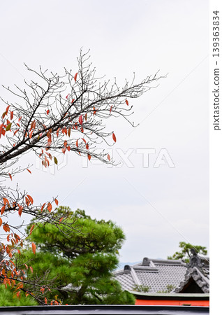 The nature view from Fushimi Inari Taisha(Fushimi Inari Shrine) in Kyoto, Japan. Fushimi Inari Shrine is a popular tourist destination. Stunning nature view of Kyoto. Trees, sky and architecture. The nature view from Fushimi Inari Taisha(Fushimi Inari Shrine) in Kyoto, Japan. Fushimi Inari Shrine is a popular tourist destination. Stunning nature view of Kyoto. Trees, sky and architecture. 139363834