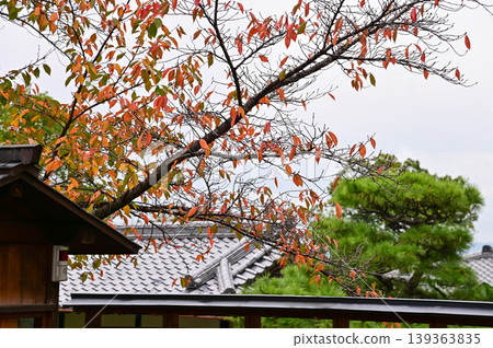 The nature view from Fushimi Inari Taisha(Fushimi Inari Shrine) in Kyoto, Japan. Fushimi Inari Shrine is a popular tourist destination. Stunning nature view of Kyoto. Trees, sky and architecture. The nature view from Fushimi Inari Taisha(Fushimi Inari Shrine) in Kyoto, Japan. Fushimi Inari Shrine is a popular tourist destination. Stunning nature view of Kyoto. Trees, sky and architecture. 139363835