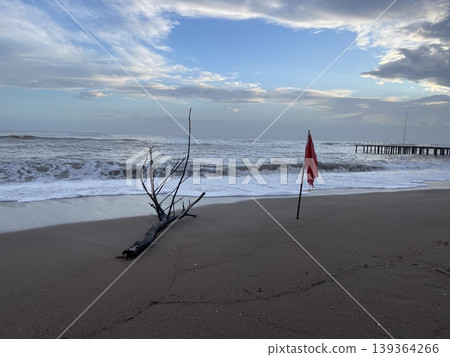 Red flag on deserted beach with driftwood and waves under cloudy sky, suitable for background Red flag on deserted beach with driftwood and waves under cloudy sky, suitable for background 139364266