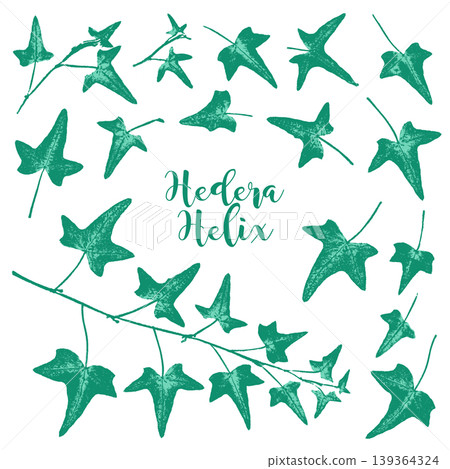 A stamp-like silhouette of ivy, created using the frottage technique. A stamp-like silhouette of ivy, created using the frottage technique. 139364324