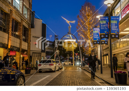 橫濱城市景觀:夜幕下的元町商店街 橫濱城市景觀:夜幕下的元町商店街 139365193