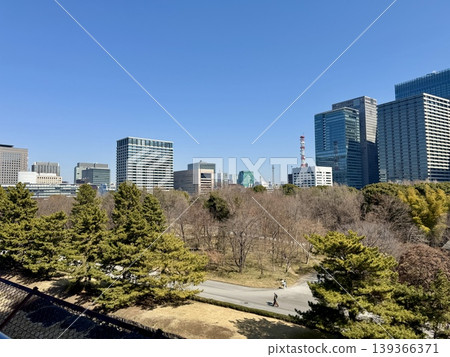 Skyscrapers of Chiyoda Ward, Tokyo, seen from the perimeter of the Imperial Palace 139366371