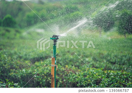 Water Sprinkler System Spraying Water Over Green Crops in Lush Agricultural Landscape During Daylight Under Clear Sky 139366787