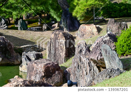 The Japanese gardern view of nijo jo castle, Kyoto, Japan. World Heritage Site, Japanese old traditional architecture in Kyoto, Japan. Background landscape of the beauty of Nijo Castle at sunny day. 139367201