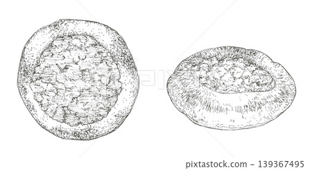Esfiha's hand-drawn illustrations 139367495