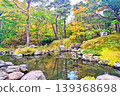Pond colored with autumn leaves 139368698