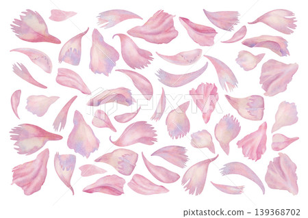 Light, scattered watercolor floral composition of pink peony petals. Natural, airy botanical background, perfect for backdrops, prints, wallpaper, branding, and delicate, feminine style projects Light, scattered watercolor floral composition of pink peony petals. Natural, airy botanical background, perfect for backdrops, prints, wallpaper, branding, and delicate, feminine style projects 139368702