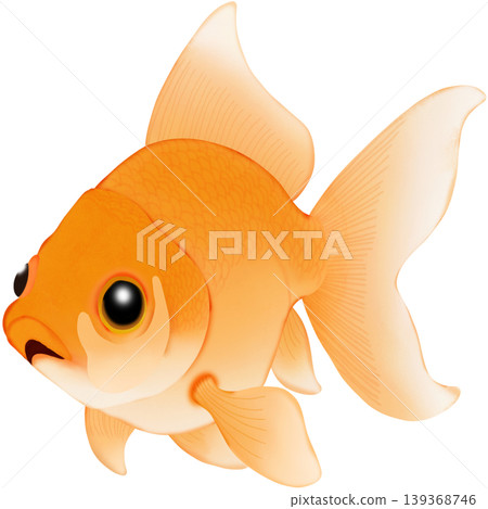 The cute goldfish  139368746