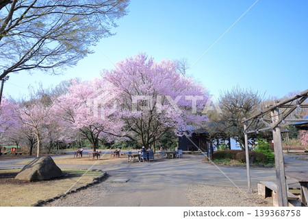 栃木縣下野市天平之丘公園 栃木縣下野市天平之丘公園 139368758