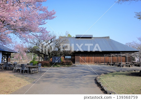 栃木縣下野市天平之丘公園:櫻花與古老的農舍 栃木縣下野市天平之丘公園:櫻花與古老的農舍 139368759