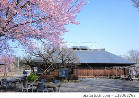 栃木縣下野市天平之丘公園:櫻花與古老的農舍 栃木縣下野市天平之丘公園:櫻花與古老的農舍 139368762