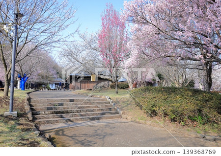 栃木縣下野市天平之丘公園 栃木縣下野市天平之丘公園 139368769