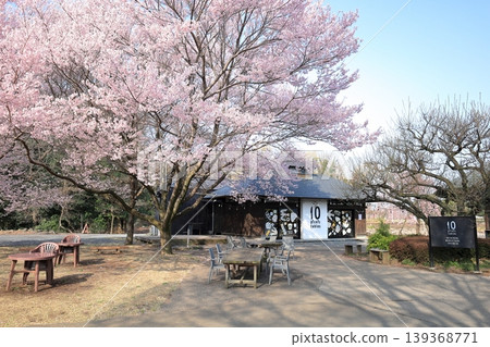 栃木縣下野市天平之丘公園:櫻花與古老的農舍 栃木縣下野市天平之丘公園:櫻花與古老的農舍 139368771