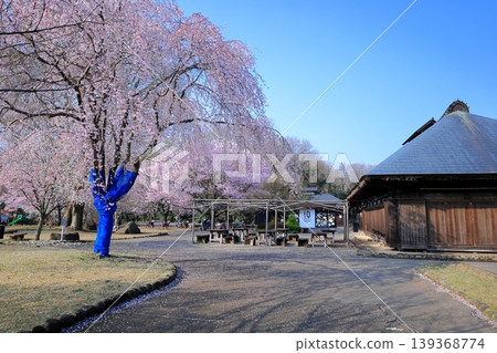 Tenpyo-no-Oka Park, Shimotsuke City, Tochigi Prefecture: Cherry blossoms and old farmhouses 139368774