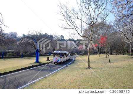 Botchan Train, Tenpyo-no-Oka Park, Shimotsuke City, Tochigi Prefecture 139368775