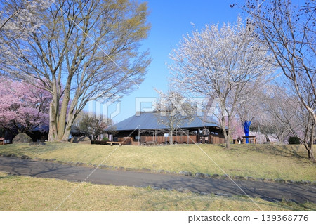 栃木縣下野市天平之丘公園:櫻花與古老的農舍 栃木縣下野市天平之丘公園:櫻花與古老的農舍 139368776