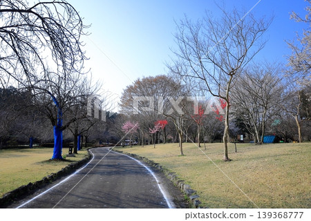 栃木縣下野市天平之丘公園 栃木縣下野市天平之丘公園 139368777
