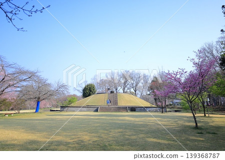 Tenpyo-no-Oka Park, Kunimiyama, Shimotsuke City, Tochigi Prefecture 139368787