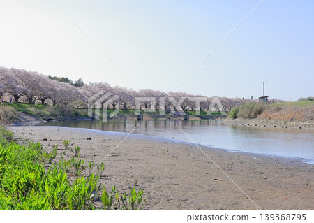 栃木縣下野市菅形川堤岸櫻花盛開 / 菅形川休閒公園 栃木縣下野市菅形川堤岸櫻花盛開 / 菅形川休閒公園 139368795