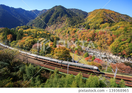 從木曾路上著名的賞楓勝地根座野俯瞰中央本線特快列車，此時秋葉正值盛期。 139368965