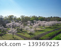 Sayama Park in the season of cherry blossoms; looking down at the Wind Plaza from the embankment. 139369225