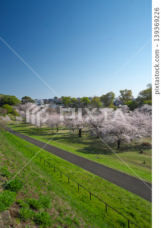 Sayama Park in the season of cherry blossoms; looking down at the Wind Plaza from the embankment. 139369226
