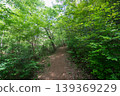A forest path located within the lush green Sayama Hills. 139369229