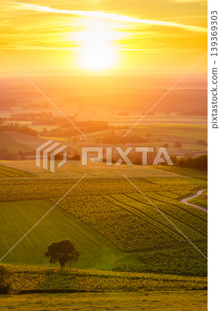 Vineyards at sunset, Jura wine region, Bourgogne-Franche-Comte in eastern France. Vineyards at sunset, Jura wine region, Bourgogne-Franche-Comte in eastern France. 139369303