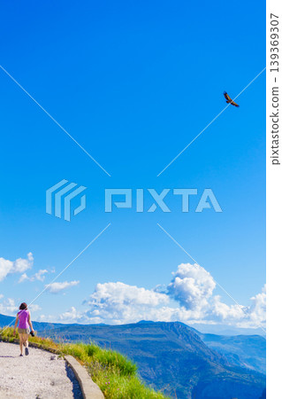 Tourist with camera observe vulture bird in flight, canyon Gorges du Verdon, Provence in France Tourist with camera observe vulture bird in flight, canyon Gorges du Verdon, Provence in France 139369307