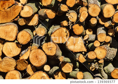 Freshly cut tree logs piled up as background texture Freshly cut tree logs piled up as background texture 139369377