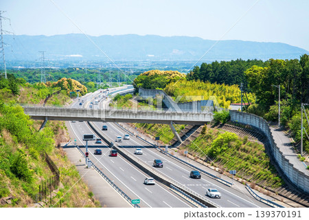 Springtime on the expressway: Shin-Meishin Expressway, Komono IC to Suzuka PA Smart IC, north side of Yokkaichi Tunnel 139370191