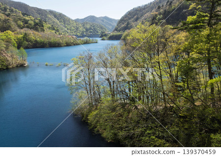 Fresh greenery in the underwater forest at Okushima Lake, Nakanojo Town, Gunma Prefecture 139370459