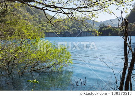 Fresh green Lake Okushima, Nakanojo Town, Gunma Prefecture Fresh green Lake Okushima, Nakanojo Town, Gunma Prefecture 139370513