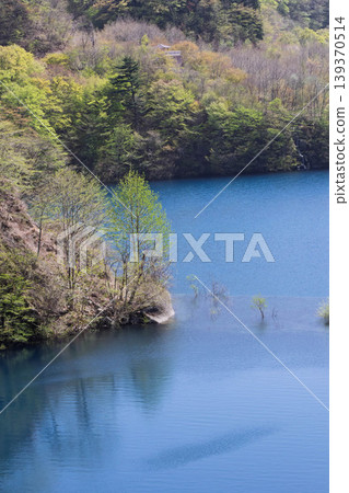群馬縣中之條町的新綠奧島湖 139370514