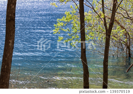 Fresh green Lake Okushima, Nakanojo Town, Gunma Prefecture Fresh green Lake Okushima, Nakanojo Town, Gunma Prefecture 139370519