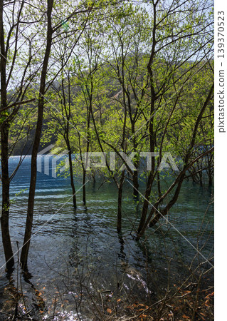 群馬縣中之條町的新綠奧島湖 群馬縣中之條町的新綠奧島湖 139370523