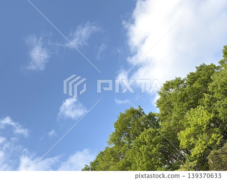 Early summer sky landscape Early summer sky landscape 139370633