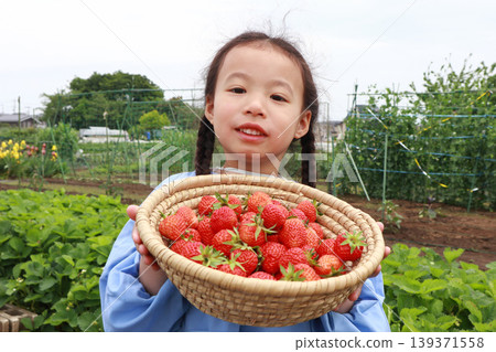 採摘草莓的女孩 採摘草莓的女孩 139371558