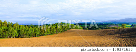 The scenery around Biei Town, Hokkaido, with its refreshing early summer blue sky and slightly setting sun. The scenery around Biei Town, Hokkaido, with its refreshing early summer blue sky and slightly setting sun. 139371633
