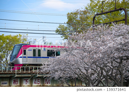 京王5000系列 京王5000系列 139371641