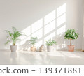 A minimalist space lined with plants and a natural light-filled interior background. 139371881