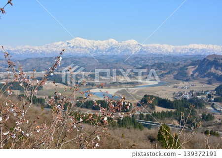 A panoramic view of the snow-capped Echigo Sanzan mountains from the Ojiya Yamamotoyama Plateau, where mountain cherry blossoms are in bloom. 139372191