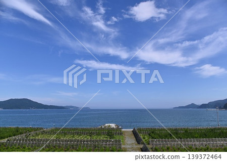 南三陸町的海 南三陸町的海 139372464