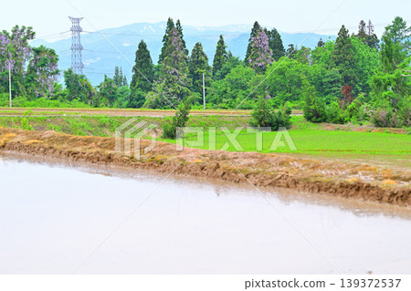 位於多馬高原腳下的梯田：春意盎然的鄉村景色，新潟縣十日町市 139372537