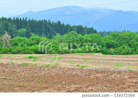 位於多馬高原腳下的梯田:春意盎然的鄉村景色,新潟縣十日町市 位於多馬高原腳下的梯田:春意盎然的鄉村景色,新潟縣十日町市 139372560